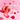 Eine durchsichtige Flasche INAO von essence Clean Skin x JUICY BOMB Gummies verschüttet leuchtend rote und pinke Nahrungsergänzungsmittel mit Biotin und Zink auf einer pinkfarbenen Oberfläche. Auf dem Etikett steht „60 Stück für 1 Monat“.