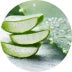 Drei gestapelte Scheiben frischen Aloe-Vera-Gels sind im Fokus zu sehen, mit einem grünen Aloe-Blatt und einem unscharfen, natürlichen Hintergrund.