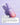 Eine lavendelfarbene Flasche Happy Evenings Sparset von INAO by essence steht auf einem hellvioletten Untergrund mit einem Hauch weißer Creme. Die deutsche Anleitung erklärt die Anwendung dieses Serums zur Hautpflege, wobei die Augen- und Lippenpartie ausgespart werden sollte.